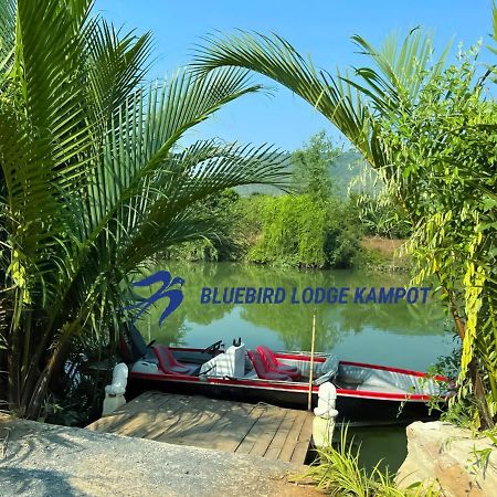 Bluebird Lodge كامبوت المظهر الخارجي الصورة