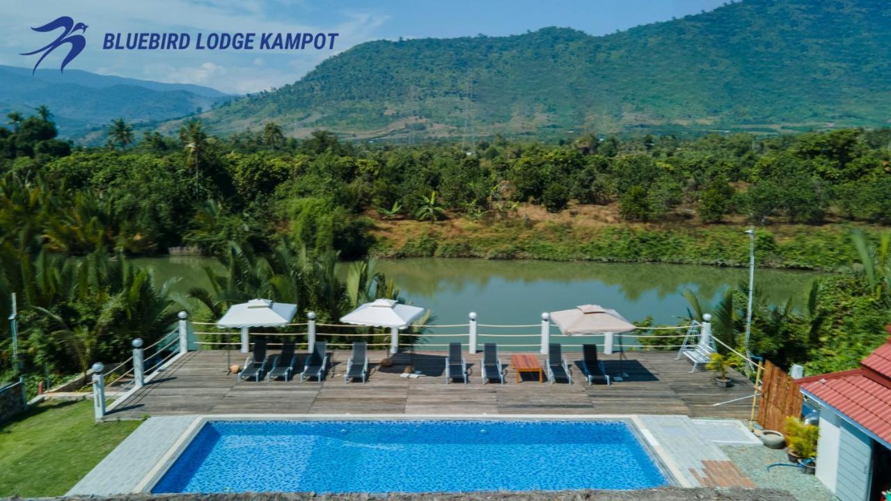 Bluebird Lodge كامبوت المظهر الخارجي الصورة