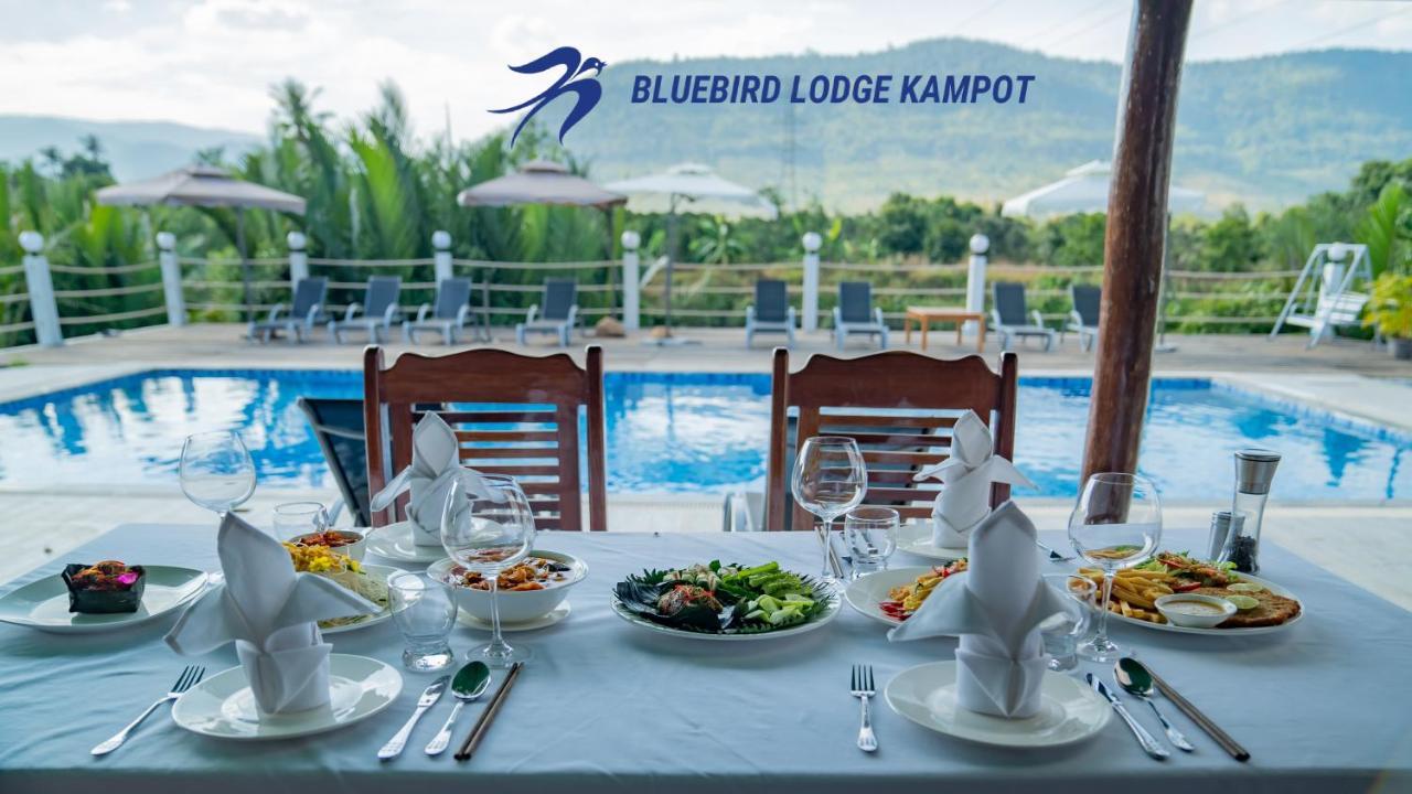 Bluebird Lodge كامبوت المظهر الخارجي الصورة