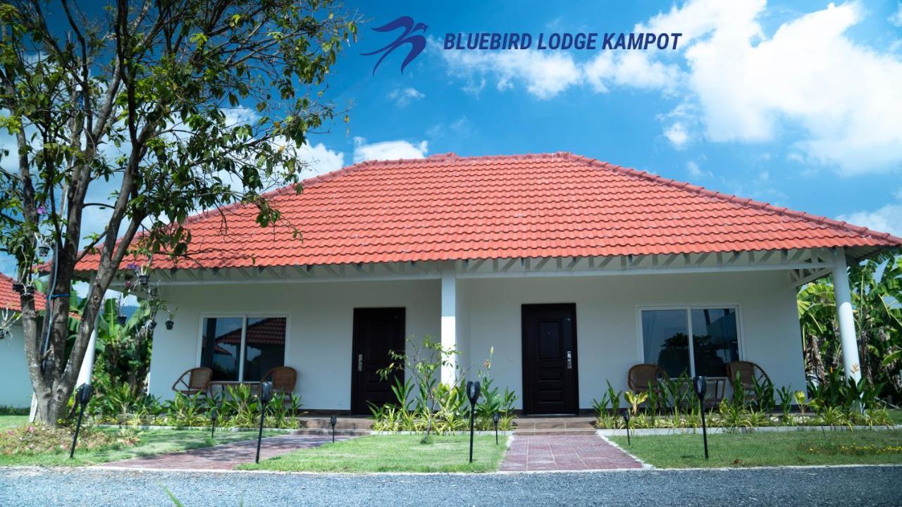 Bluebird Lodge كامبوت المظهر الخارجي الصورة